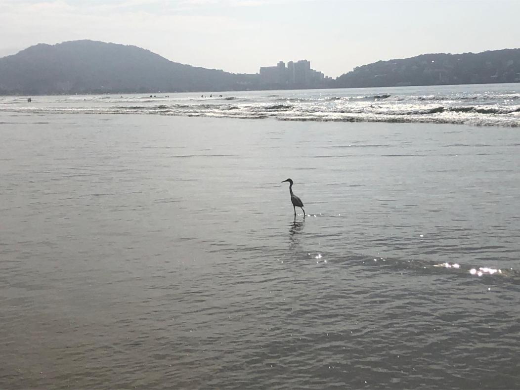 3 Dormitorios No Guaruja, Proximo Ao Aquario! Sinta-Se Em Casa! Kültér fotó